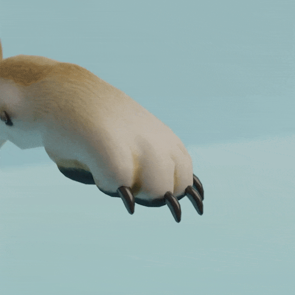 Pet Verde Store™ - Dog Nail Grinder